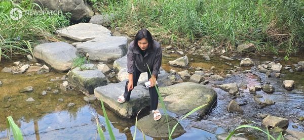 ▲수원천 물고기 집단 폐사 현장점검