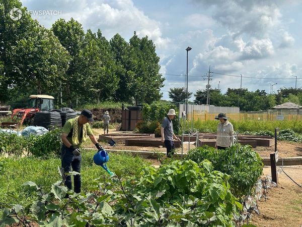 ▲평택시 농업기술센터 시민들과 함께한 가을 김장채소 재배 교육 진행 / 사진제공=평택시