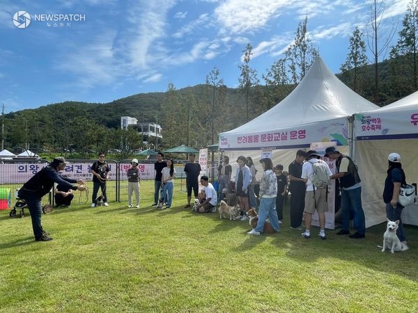 ▲ 2025 하반기 반려동물 문화교실 / 사진제공=