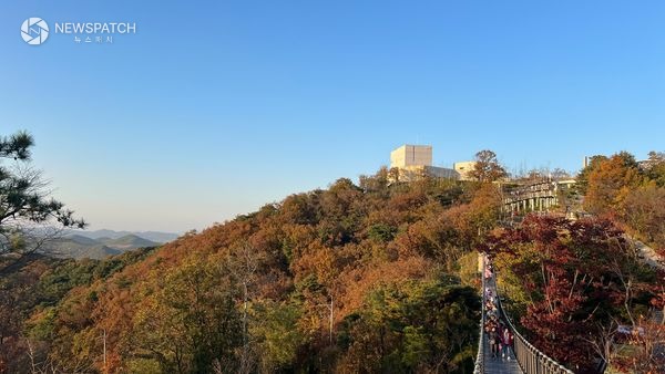 ▲ 애기봉평화생태공원 전경 / 사진제공=