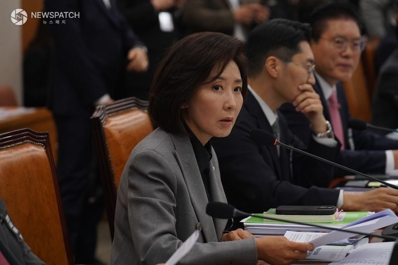 ▲국민의힘'나경원'의원/사진=신상철기자