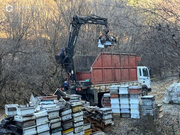 ▲폐양봉자재 수거 