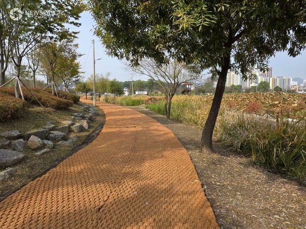 ▲왕송호수 공원정비