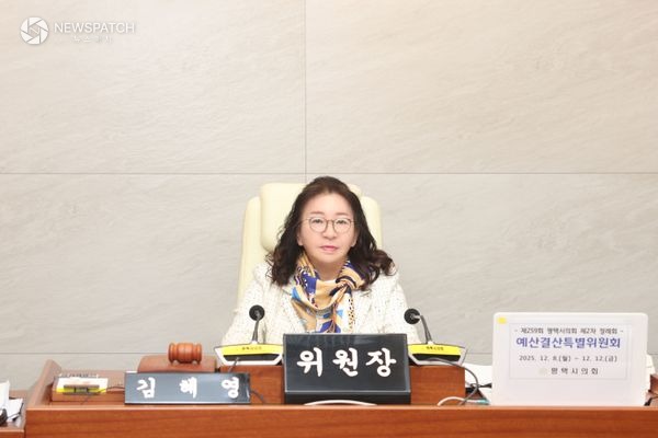 ▲김혜영 예산결산특별위원장