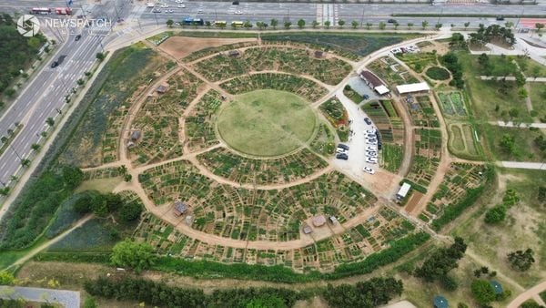 ▲ 배곧텃밭나라 전경