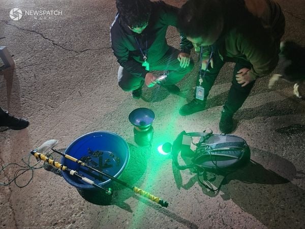 ▲해양경찰이 야간을 틈타 실뱀장어를 불법 포획한 현장을 적발 / 사진제공=평택해경