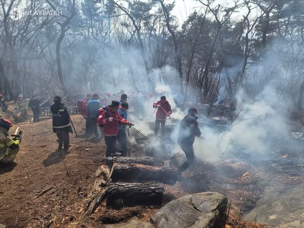 ▲대형산불 특별대책기간 돌입…산불 가해자는 고의·실수 불문하고 엄정 처벌 / 사진제공=수원특례시