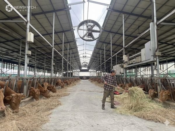 ▲2026년 상반기 사료구매 정책자금 지원사업 / 사진제공=안성시