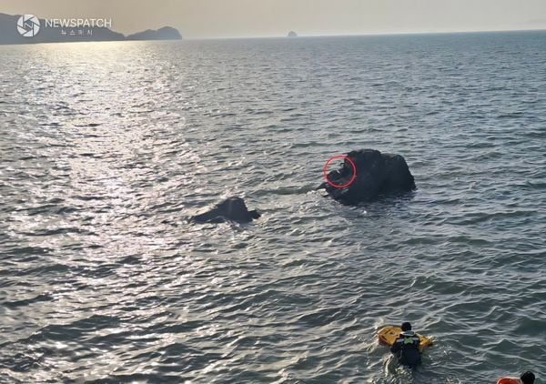 ▲  안산 방아머리 해변 인근 갯바위에 고립된 여성 / 사진=평택해경