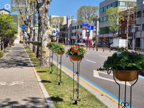 ▲ 봄맞이 주요 도로변 꽃길 조성 / 사진=수원시 팔달구