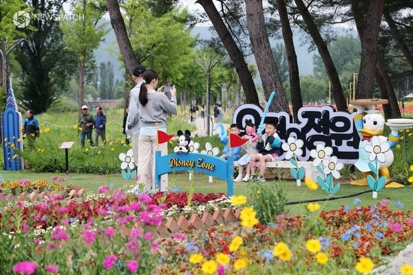 ▲ 자라섬 꽃 페스타 / 사진=가평군