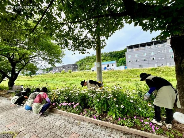 ▲ 한국마스터가드너 여주지회 / 사진=여주시