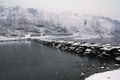 진천군, 농다리 주차장 설 명절 특별 무료 운영