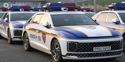 창원서, 음주운전 20대 검거. . .면허 취소 수준의 만취 상태 시설물 충돌