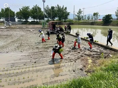 안성시, “고품질 안성쌀 생산의 시작은 품종별 적기 이앙