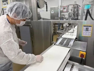 안양권 4개 시, 어린이 과일 간식 합동 점검