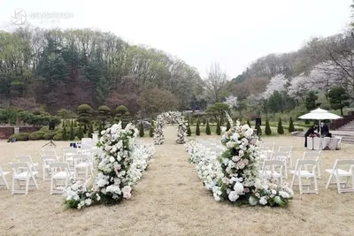 ‘성남 솔로몬 웨딩뜰’ 첫 예식 개최… 합리적 비용의 야외 결혼식 문화 확산