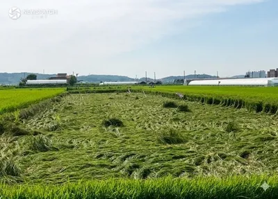 안성시, 농작물재해보험 가입 독려