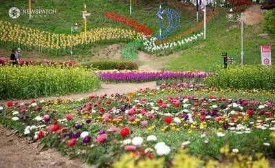 용인 농촌테마파크, 5~8월 운영 시간 1시간 연장