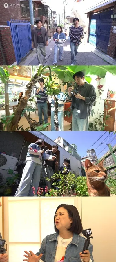 [구해줘! 홈즈] 김숙X양세찬X안재현, 복잡한 도심 속 ‘숲속의 집’ 임장! 숲세권 아파트부터 ‘집 안의 정글’까지?!