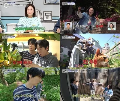[구해줘! 홈즈] 김숙X양세찬X안재현, 도심 속 자연 품은 '숲속의 집' 찾아 힐링 임장!