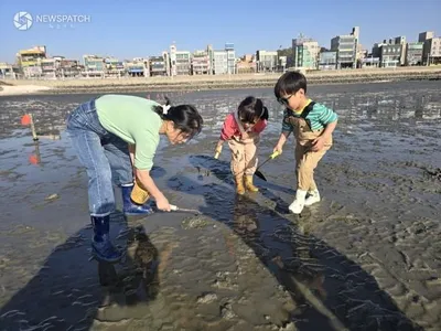 오이도 조개 캐기 체험부터 스릴만점 보트체험까지 하루 만에 즐기는시흥 바다로 특별한 여름 여행