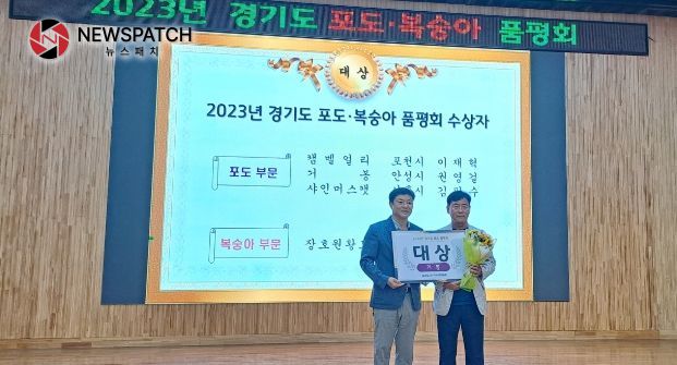 안성 포도, 경기도 포도·복숭아 품평회에서 대상 수상 등 우수한 성적 거둬 안성 포도, 경기도 포도·복숭아 품평회에서 대상 수상 등 우수한 성적 거둬