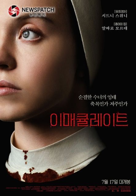 이매큘레이트 이매큘레이트